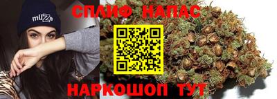 дмт Новозыбков