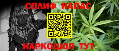 сатива Новодвинск