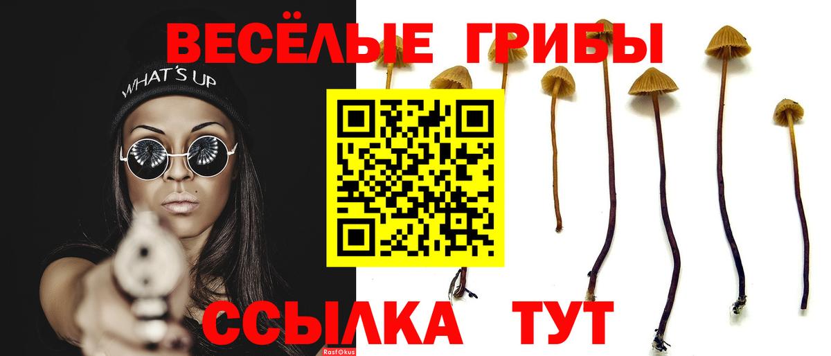 Ульяновск  Галлюциногенные грибы прущие грибы  Вход с VPN 